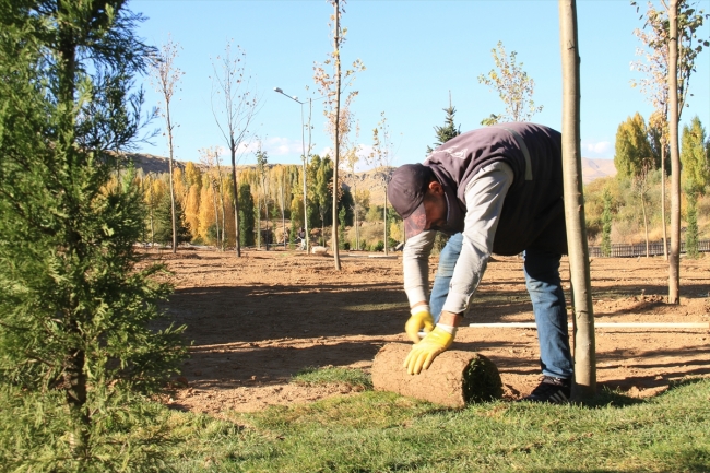 Muradiye Şelalesi ağaçlandırma çalışmalarıyla yeni çehresine kavuşacak